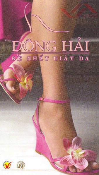 dong-hai-giay-b